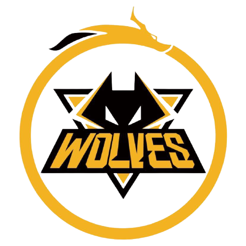 总而言之 总而言之