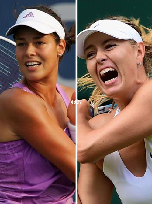 旧主与租借 旧主与租借