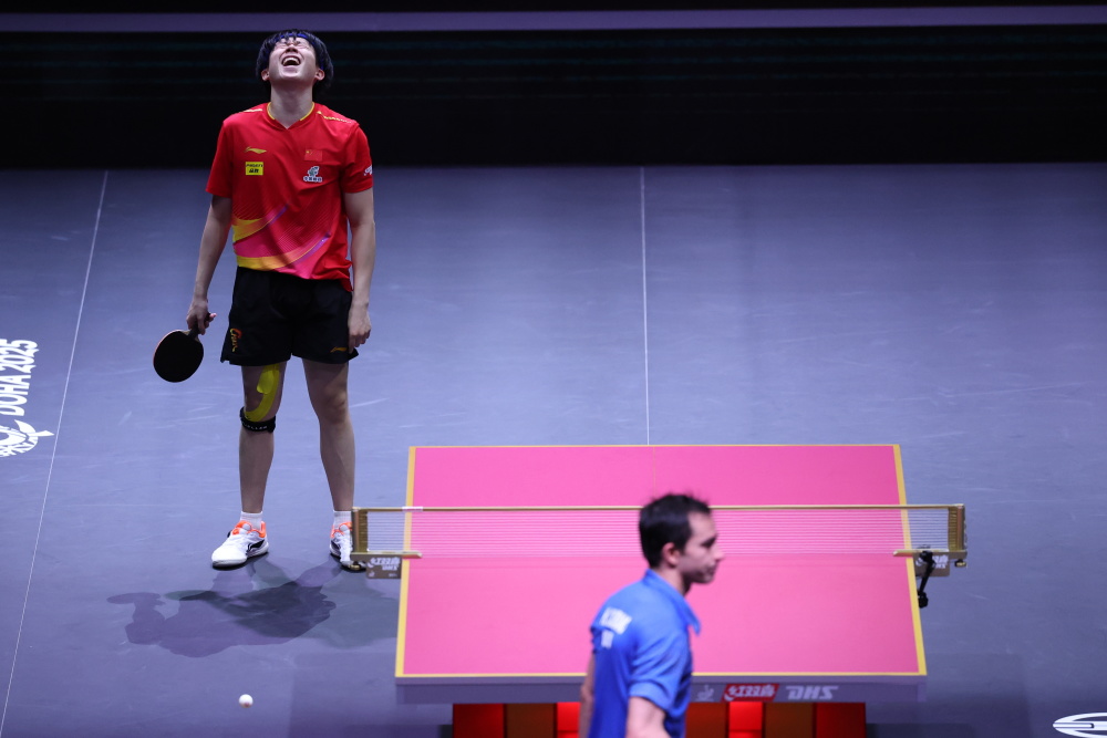 项目风险清 项目风险清